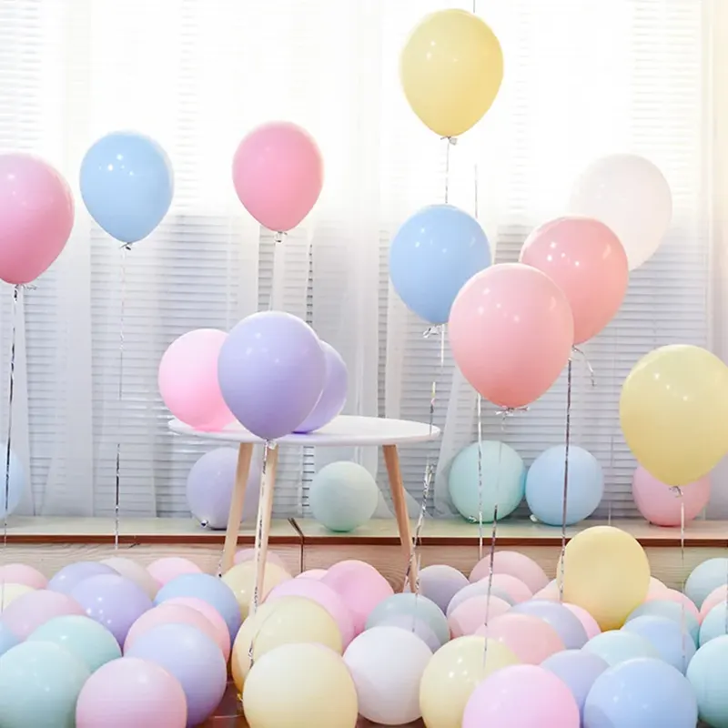 Belon macaron 10 inci