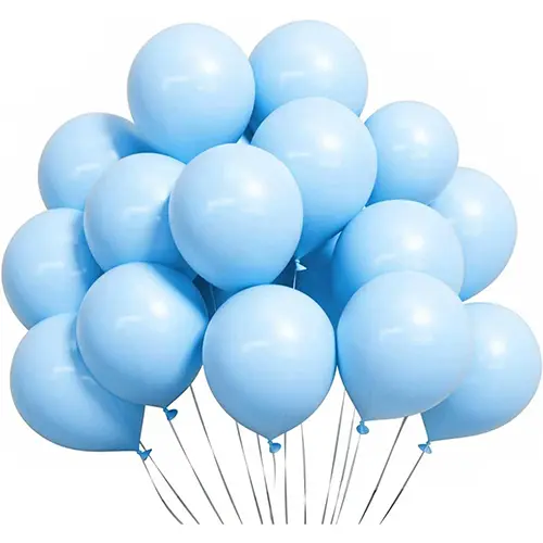 Belon Macaron Biru